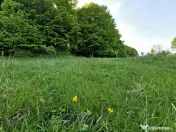 Oportunitate de Investiție - Teren de Basm in Bascov. DI... 