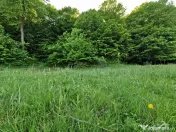 Oportunitate de Investiție - Teren de Basm in Bascov. DI... 