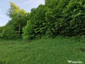 Oportunitate de Investiție - Teren de Basm in Bascov. DI... 