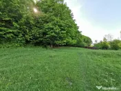 Oportunitate de Investiție - Teren de Basm in Bascov. DI... 