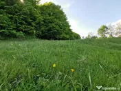 Oportunitate de Investiție - Teren de Basm in Bascov. DI... 