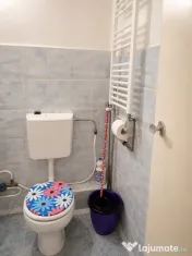 Apartament cu o cameră Calea Lipovei 