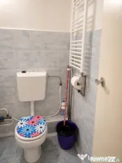Apartament cu o cameră Calea Lipovei 