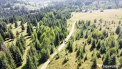 Teren intravilan Dorna Arini