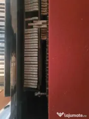 Pianina Ukrajna de vanzare 
