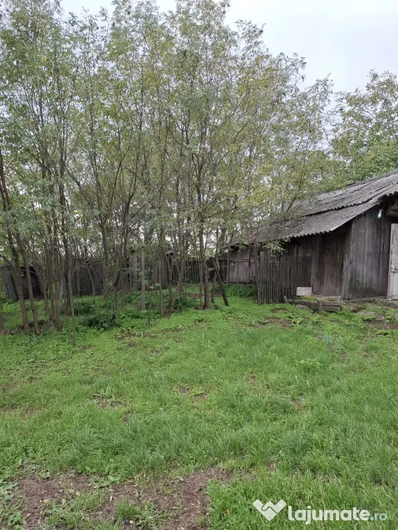 Casa si teren 5200mp in sat Prisecani, com. Boghesti