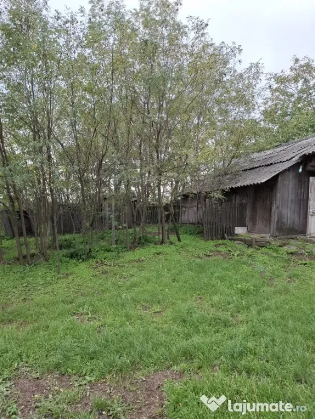 Casa si teren 5200mp in sat Prisecani, com. Boghesti