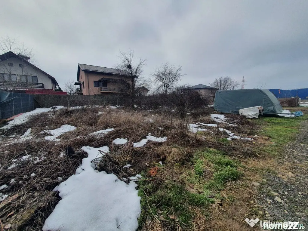 Teren 1000mp I De I Cernica I Pantelimon