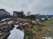 Teren 1000mp I De I Cernica I Pantelimon 