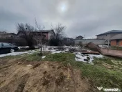 Teren 1000mp I De I Cernica I Pantelimon 