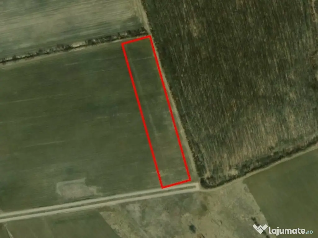 Corbeana - Ostratu 15200 mp langa padure