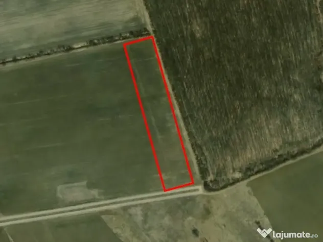 Corbeana - Ostratu 15200 mp langa padure