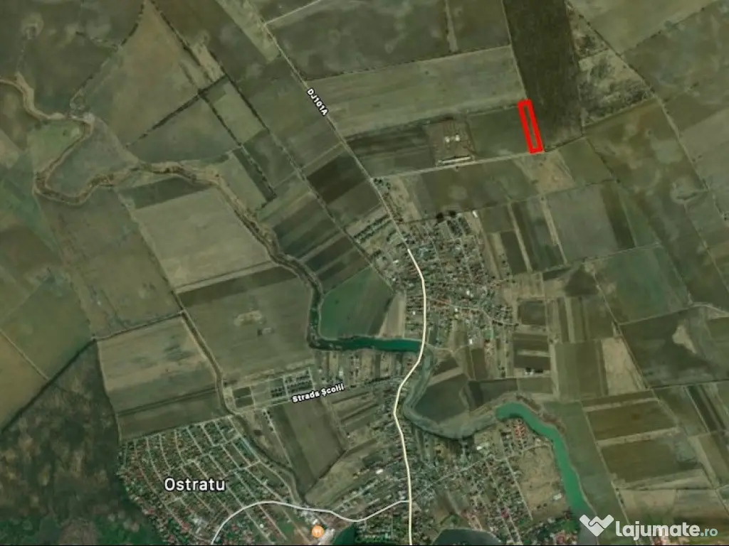 Corbeana - Ostratu 15200 mp langa padure