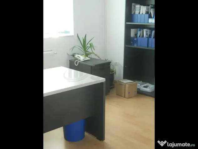 Vila de inchiriat Bucurestii Noi