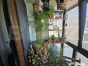 Apartament 3 camere, Bucium – mobilat și utilat complet, 