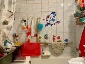 Apartament 2 Camere Baneasa I langa Herastrau