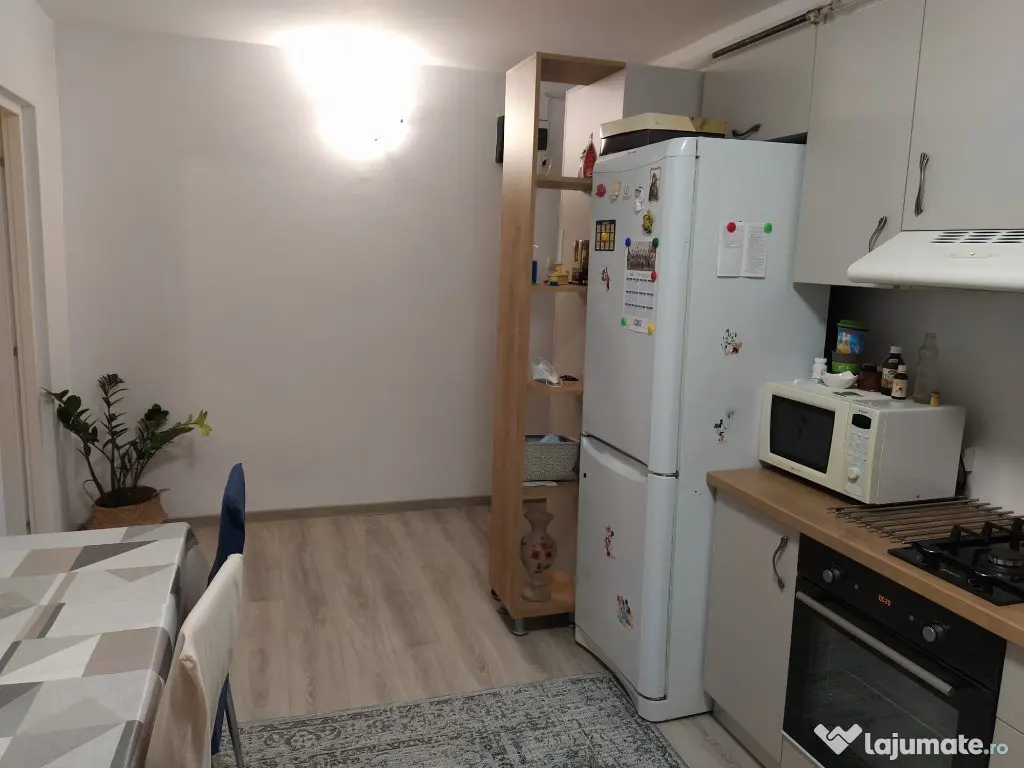 Apartament 2 camere et 1 , Plopilor