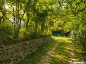 Casa traditionala cu autenticitate rurala, in pitoreasca Tel 