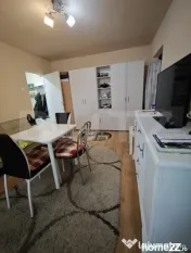 Apartament cochet in cartierul Florilor 