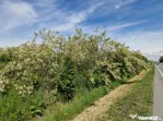 Teren de vânzare, 900 mp, Drumul European – Isalnița