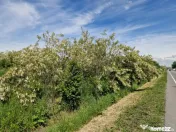 Teren de vânzare 900 mp la Drumul European – Isalnița 