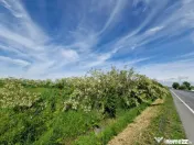Teren de vânzare 900 mp la Drumul European – Isalnița 