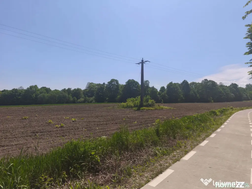 Teren 6300mp, 200ml deschidere la drum, Galanesti, Radauti - Galanesti (Suceava)