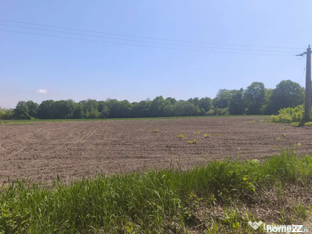 Teren 6300mp, 200ml deschidere la drum, Galanesti, Radauti - Galanesti (Suceava)