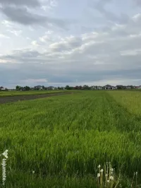Teren de vânzare – Bivolărie, Vicovu de Sus – 24 ari 