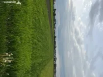 Teren de vânzare – Bivolărie,Vicovu de Sus– 26 ari
