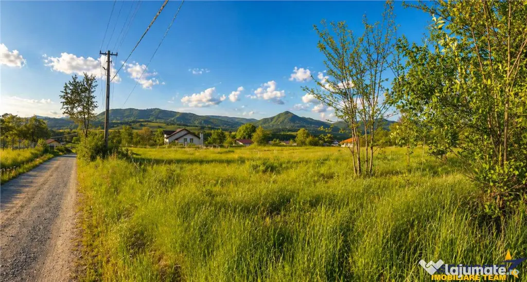 Teren intravilan panoramic, 5.750 mp, view munte, deschidere