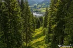 FILM!Teren 7.800mp,fosta partie de schi,investitie turistica