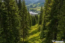 FILM!Teren 7.800mp,fosta partie de schi,investitie turistica