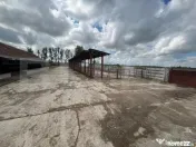 Ferma de bovine - oportunitate pentru investitori sau fermie 