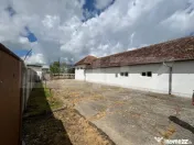 Ferma de bovine - oportunitate pentru investitori sau fermie 