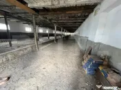 Ferma de bovine - oportunitate pentru investitori sau fermie 