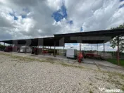 Ferma de bovine - oportunitate pentru investitori sau fermie 