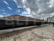 Ferma de bovine - oportunitate pentru investitori sau fermie 