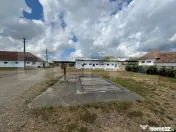 Ferma de bovine - oportunitate pentru investitori sau fermie 