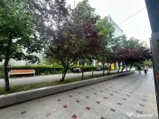 Vanzare Afacere la Chei Langa Tribunalul Bucuresti 