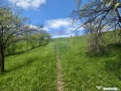 Teren intravilan 4.733 mp - Drajna de Jos, Prahova