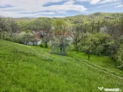 Teren intravilan 4.733 mp - Drajna de Jos, Prahova