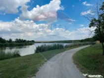 Teren 4.350 mp Balta Pasarea - 30 minute Bucuresti
