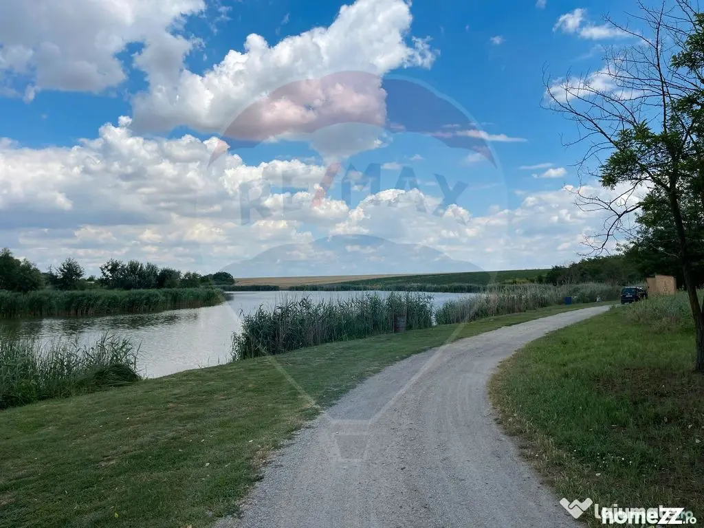 Teren 4.350 mp Balta Pasarea - 30 minute Bucuresti