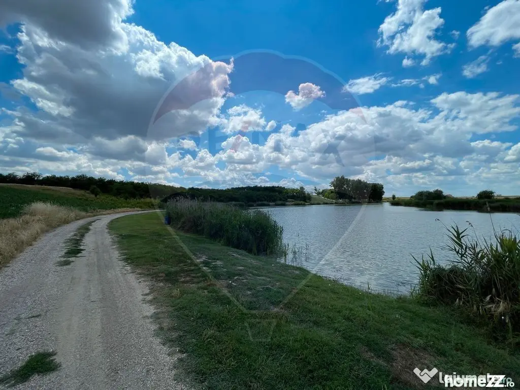 Teren 4.350 mp Balta Pasarea - 30 minute Bucuresti