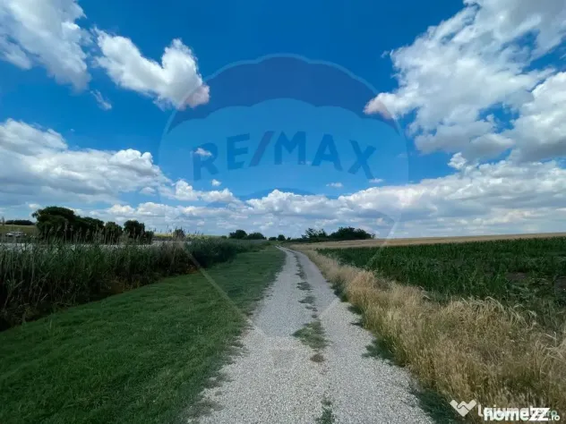 Teren 4.350 mp Balta Pasarea - 30 minute Bucuresti