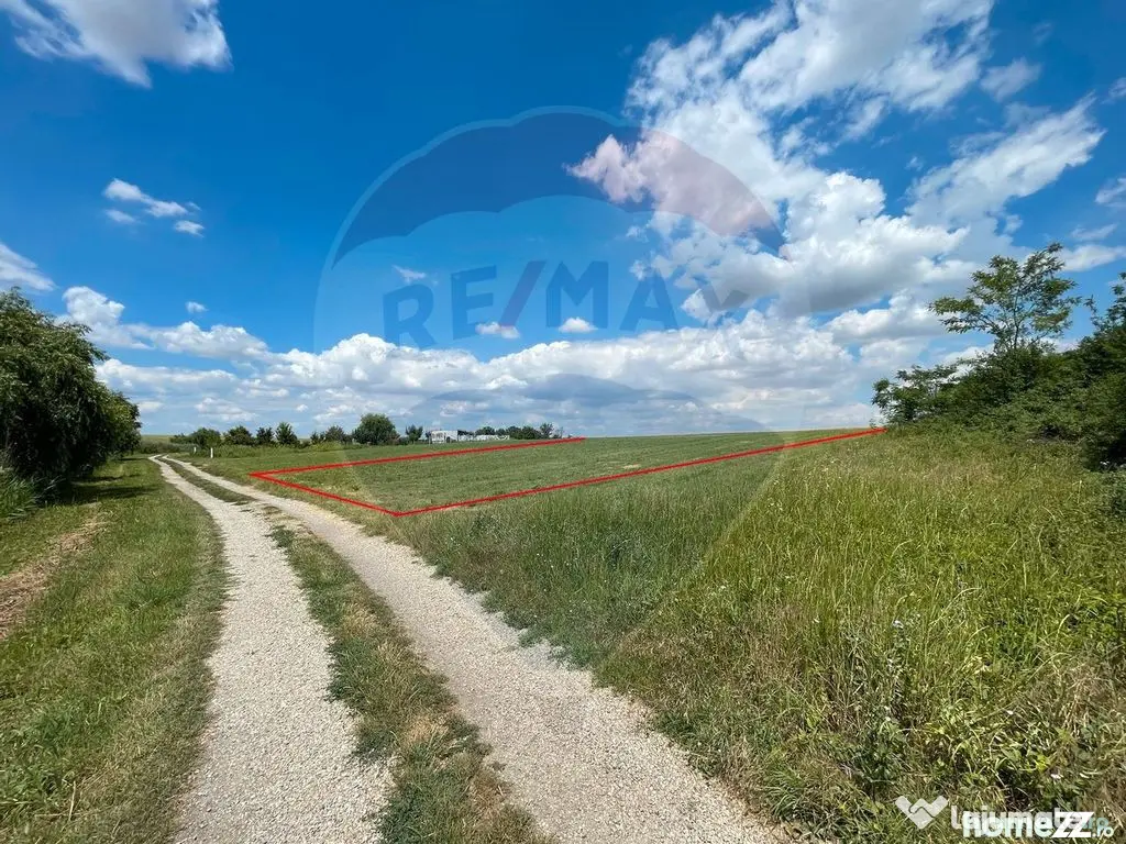 Teren 4.350 mp Balta Pasarea - 30 minute Bucuresti