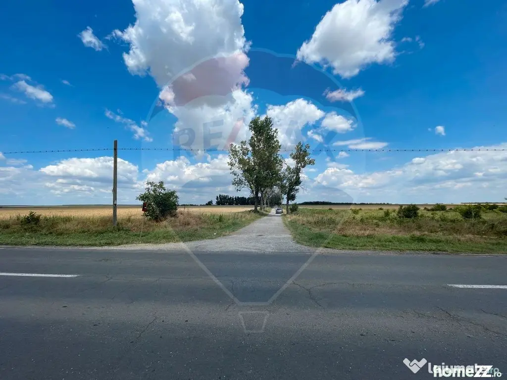 Teren 4.350 mp Balta Pasarea - 30 minute Bucuresti