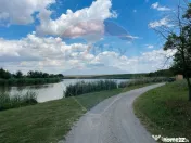 Teren 4.350 mp Balta Pasarea - 30 minute Bucuresti 