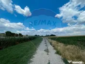 Teren 4.350 mp Balta Pasarea - 30 minute Bucuresti 